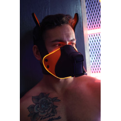 Breedwell Masque Poundtown Pup Breedwell Noir-Orange